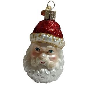 Old World Christmas Santa Glass Ornament